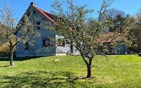 Waldhaus am Lilienstein