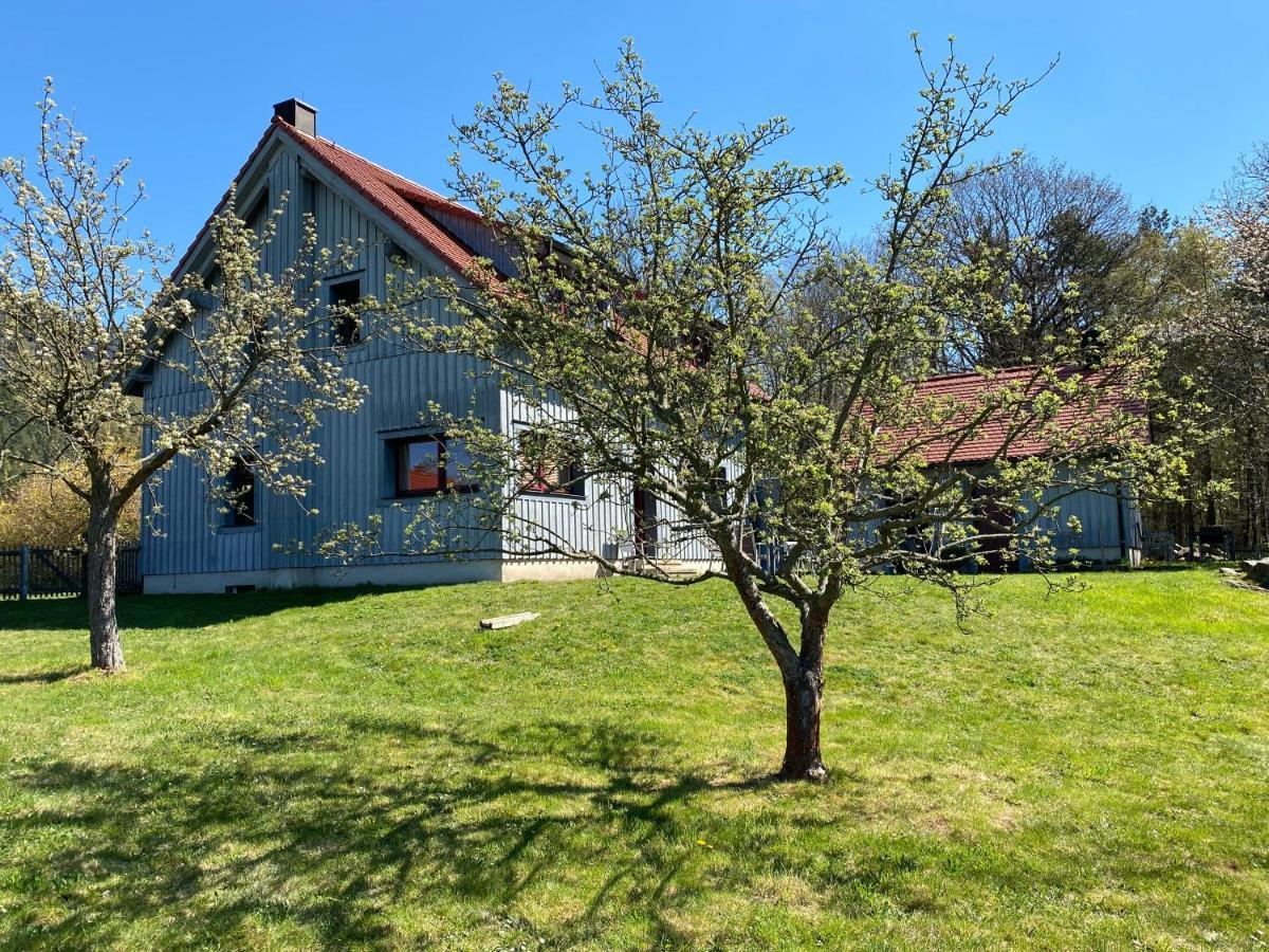 Ferienwohnung Waldhaus am Lilienstein Königstein Exterior foto